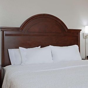 Non-Smoking Deluxe King Room Sofa Bed